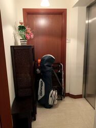 The Mayfair (D22), Condominium #481971811